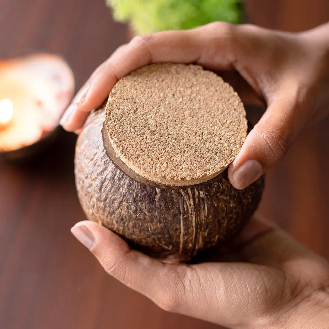 Coconut Shell Tight Storage Containers with Lid (Set of 1)